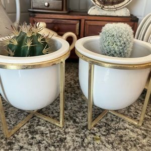 Two planters from west elm